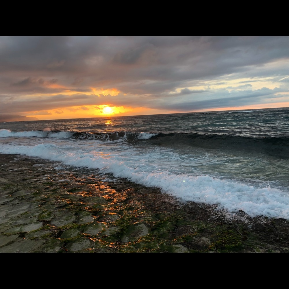 Meet your Posher, Shae